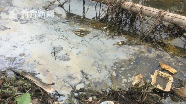 �㶫С����񱩸�:�Ӿ��ֻ��������ƽ� ÿ������