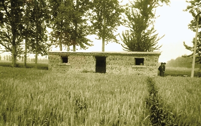 Ů��ʦ����ɱ ��ʬ���� 25��� ������ʬ ��ɱŮ��ʦ ���ֲ���